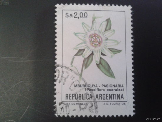 Аргентина 1984 Цветы 2,00