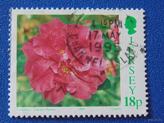 Джерси 1995 г. Цветы.