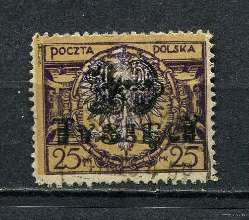 Польша - 1923 - Надпечатка 1000М на 25М - [Mi.185] - 1 марка. Гашеная.  (Лот 58EN)-T5P3
