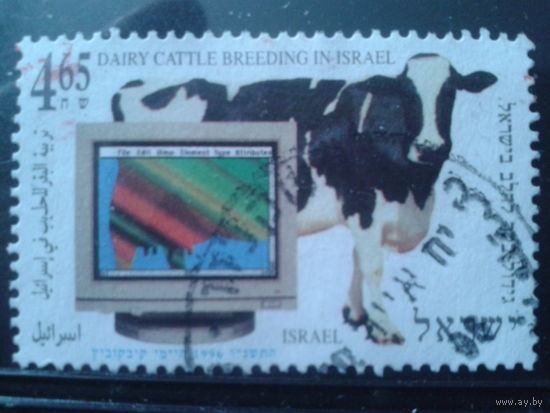 Израиль 1996 Компьютер, корова