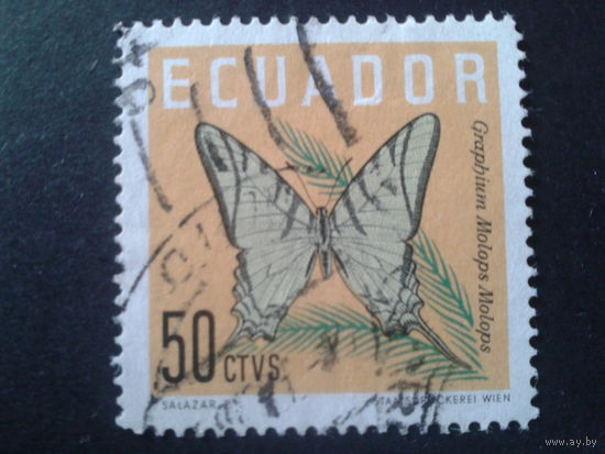 Эквадор 1961 бабочка 50с