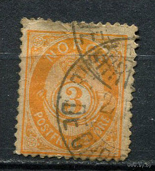 Норвегия - 1882/1885 - Цифры 3 O - (есть надрыв) - [Mi.35] - 1 марка. Гашеная.  (Лот 44EC)-T5P5