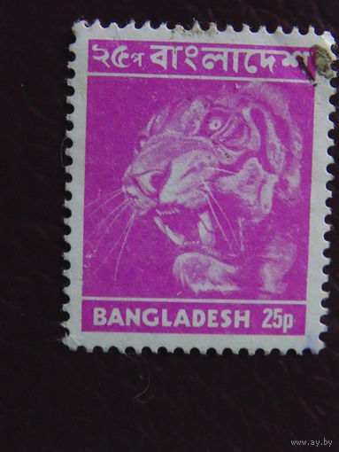 Бангладеш. Тигр.