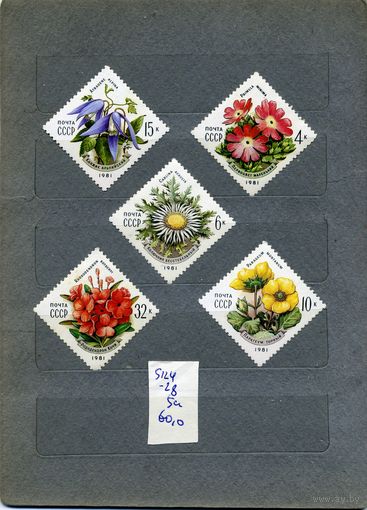 СССР, 1981, Цветы УКРАИНСКИХ КАРПАТ, серия  5м  чистая