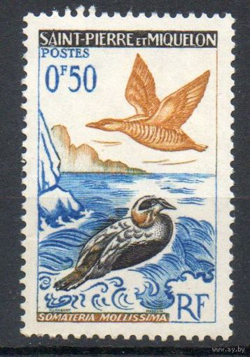 Птицы Сен-Пьер и Микелон 1963 год 1 марка