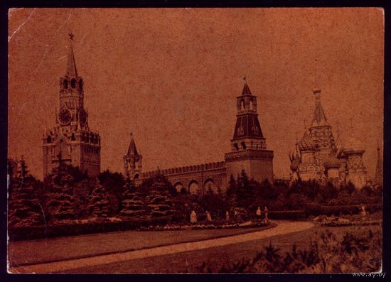 1961 год Москва Уголок Кремлёвского сада