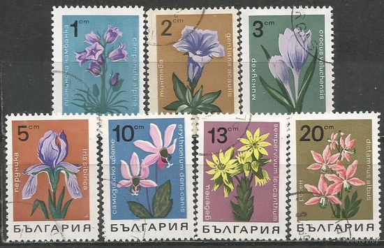 Болгария. Альпийские цветы. 1968г. Mi#1791-97. Серия.