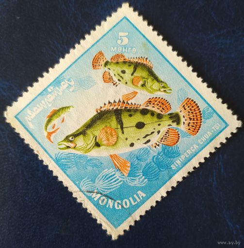 Монголия 1965 рыбы  1 из 8.