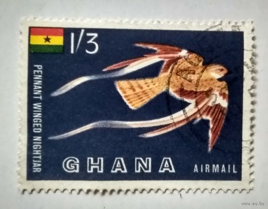 Гана.фауна