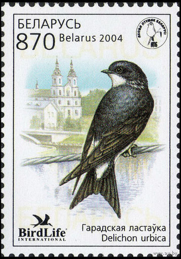 Птица года Городская ласточка Беларусь 2004 год (565) серия из 1 марки