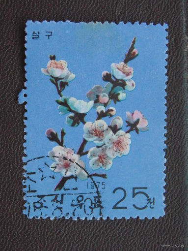 Корея 1975 г. Цветы.
