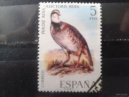 Испания 1971 Птица