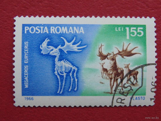 Румыния 1966 г. Фауна.
