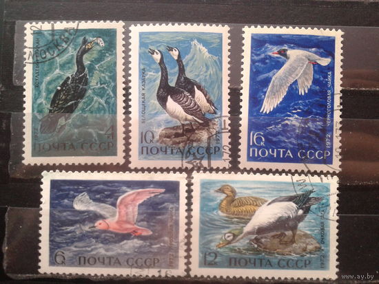 1972 Водоплавающие птицы Полная серия