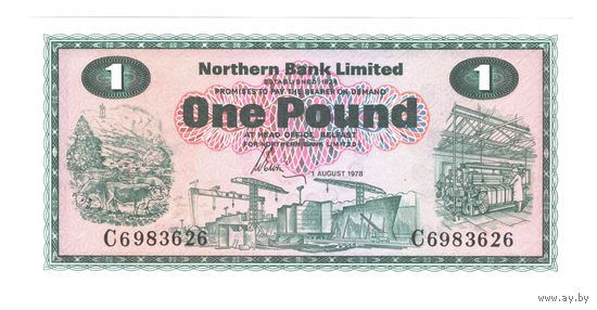 Северная Ирландия 1 фунт 1978 года. Состояние UNC!