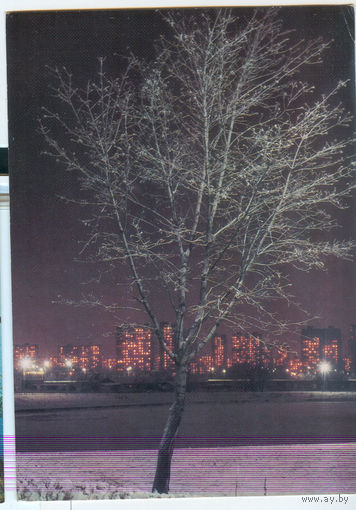 Природа. Зимний вечер Фото А. Бомзы. 1985 год