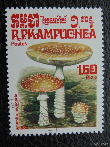 Кампучия 1985 г. Грибы.