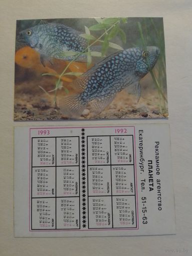 Карманный календарик. Аквариумные рыбы.1992 год