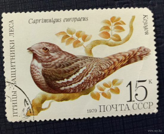 Марка СССР 1979 Птицы -защитники леса