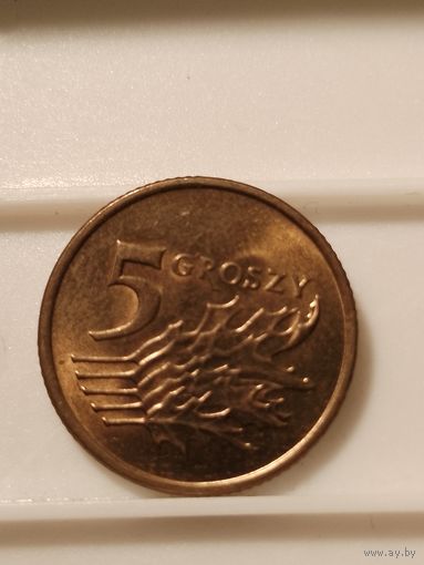 5 грошей 2001 г. Польша