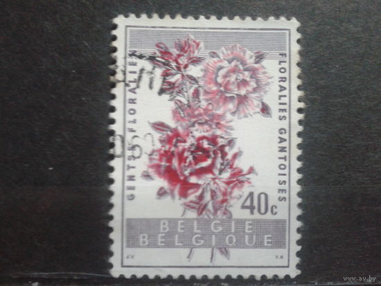 Бельгия 1960 Цветы  40с