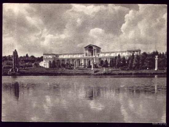 1954 год Москва Главный павильон