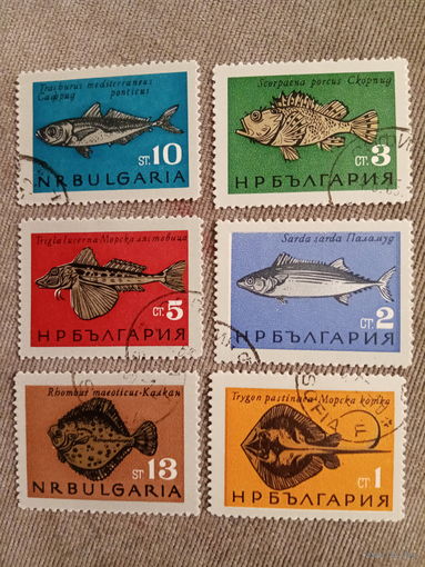 Болгария. Морские рыбы