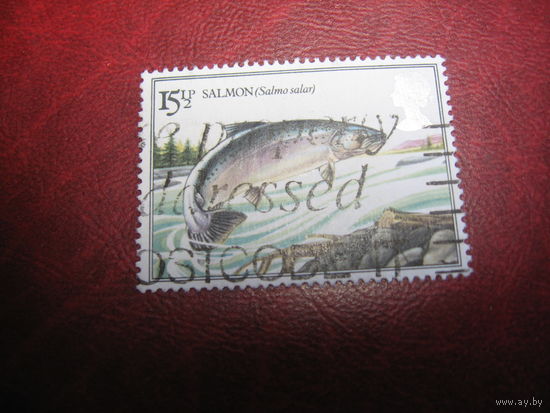 Марка Речные рыбы. Салмон 1983 года Великобритания