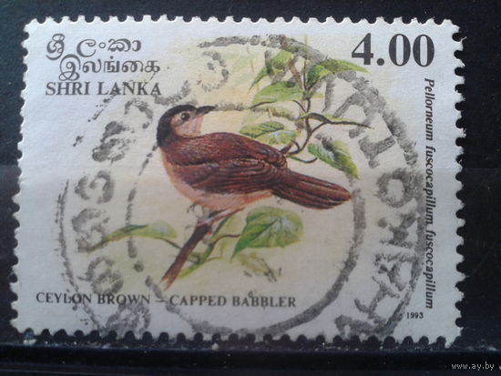 Шри-Ланка 1993 Птица