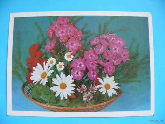 Круцко Ю., Композиция из цветов, 1980, чистая.