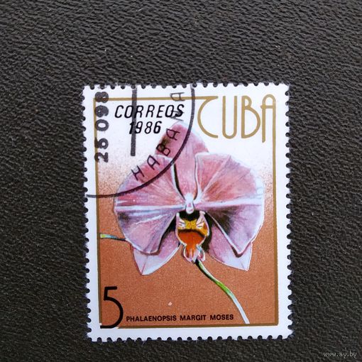 Марка Куба 1986 год Цветы