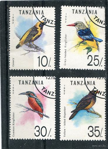 Танзания. Птицы