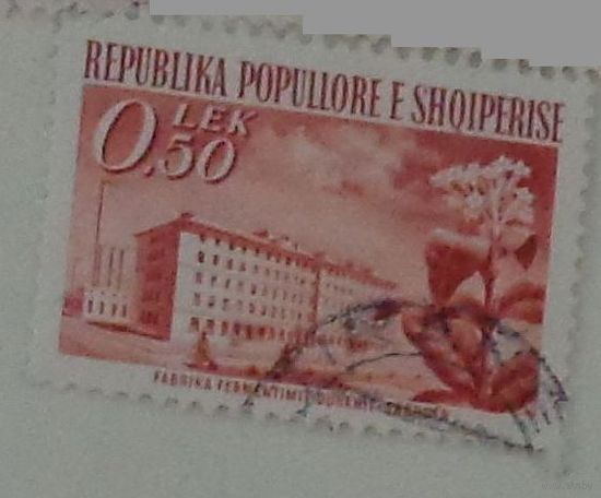 Табачная фабрика в Шкодре. Албания. Дата выпуска:1953-08-01