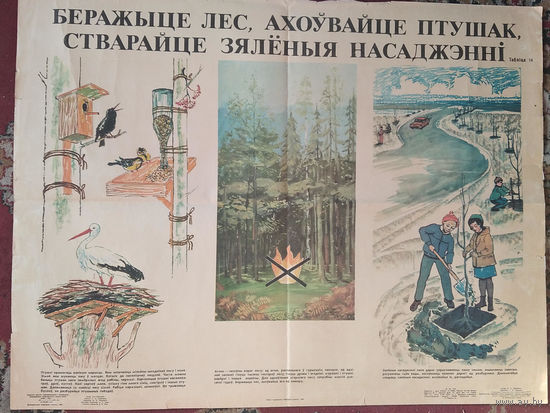 Плакат вучебны школьны "Беражыце лес". Серыя "Ахова прыроды" 1981 г. Памер 68х89 см