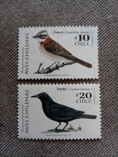Чили 2000. Фауна. Птицы