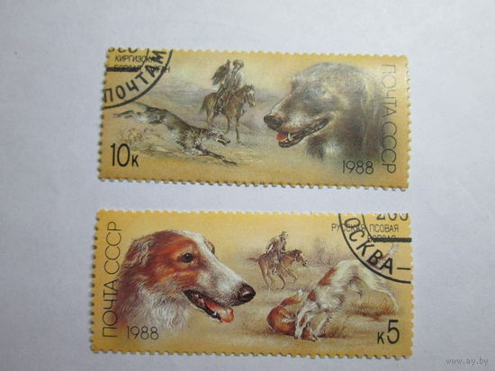 1988 СССР. Охотничьи собаки