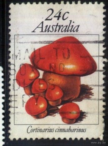Австралия 1981 Mi# 762  Гашеная (AU19)