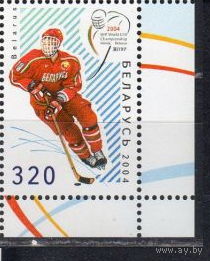 Чемпионат мира по хоккею с шайбой среди юниоров Беларусь 2004 год (566) серия из 1 марка спорт**