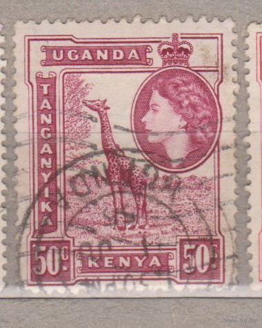 Британские колонии  Кения Уганда Танганьика 1954 год лот 11 Фауна животные Жираф Известные личности Королева Елизавета II