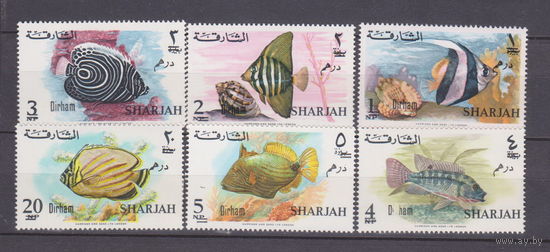 Рыбы фауна ОАЭ Шарджан 1966 год  лот 50 ЧИСТАЯ С НАДПЕЧАТКОЙ  ЧЕРНАЯ