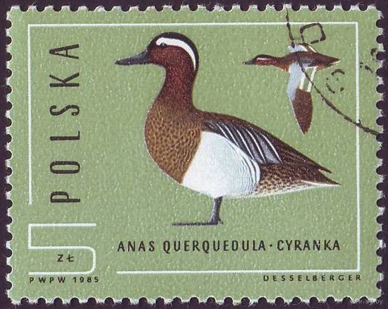 Дикие утки Польша 1985 год 1 марка
