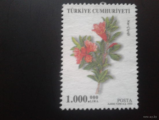 Турция 2003 цветы Mi-2,0 евро гаш.