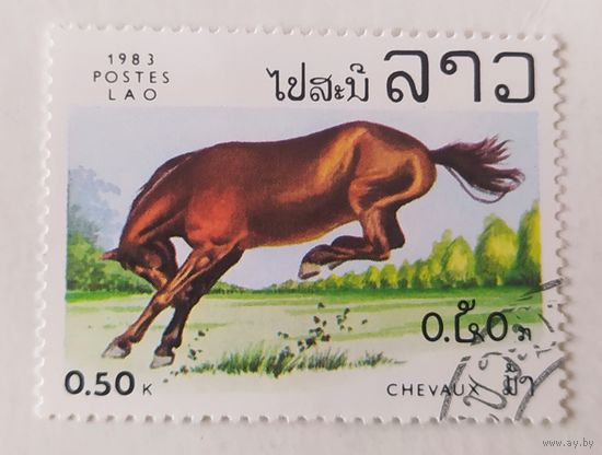 Лаос 1983, лошади