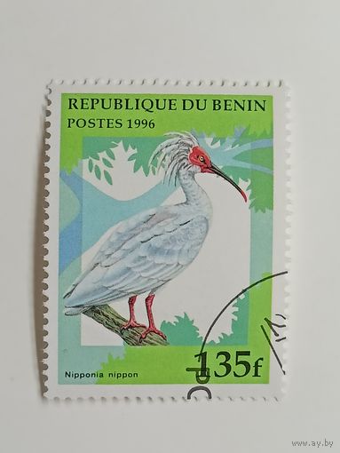 Бенин 1996. Птицы