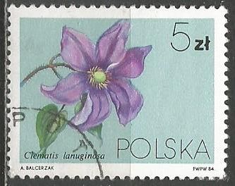 Польша. Цветы. Леменос шерстистый. 1984г. Mi#2906.