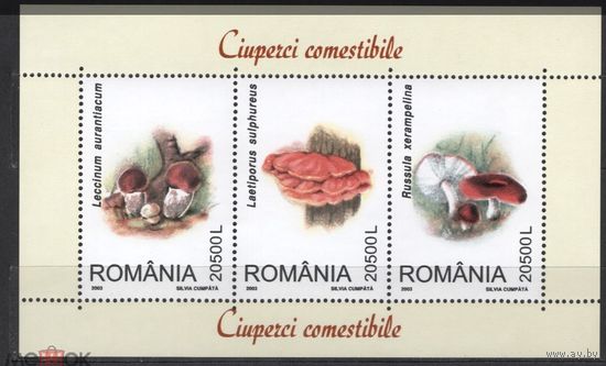 Румыния 2003. Грибы. Подосиновик, трутовик, сыроежка MNH
