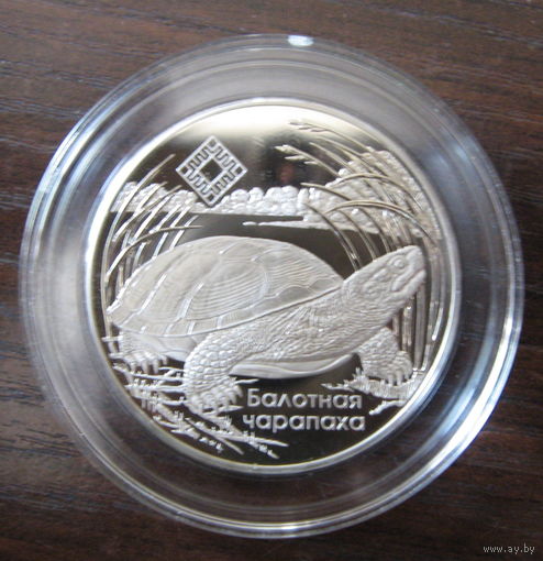 Средняя Припять. Болотная черепаха. 2010 год. 1 рубль.
