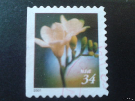США 2001 стандарт, цветок