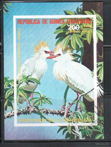 Гвинея Экваториальная-1976(Мих.Бл.247) , гаш. Фауна, Птицы,