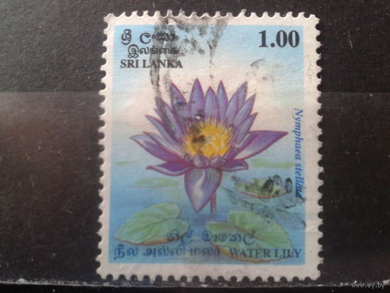 Шри-Ланка 1995 Цветок